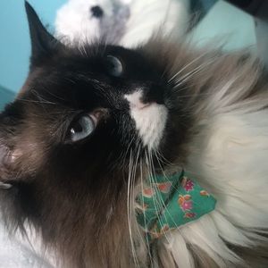 Meet your Posher, Catherine